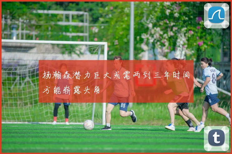 杨瀚森潜力巨大或需两到三年时间方能崭露头角